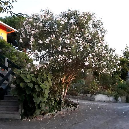 Casa Gwendoline - Albergue / Hostel / AL - Caminho da Costa Vila Nova de Cerveira Exterior foto